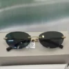 Kính Michael Kors Titanium