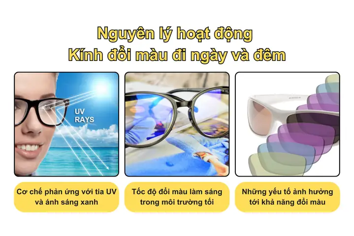 Bán Mắt Kính Đi Đêm