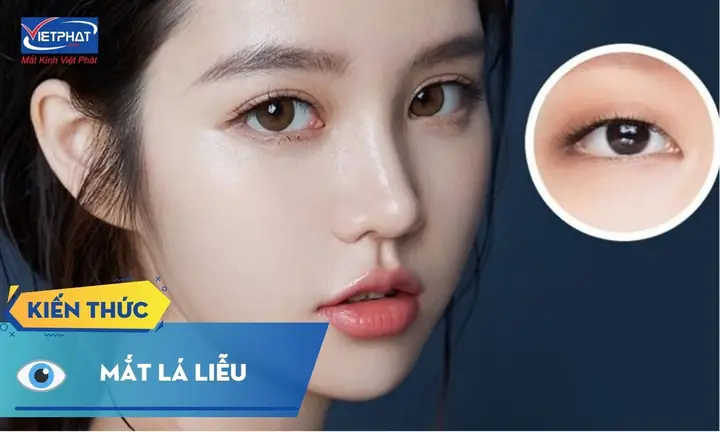 Bií Quyết Chọn Kính Mắt