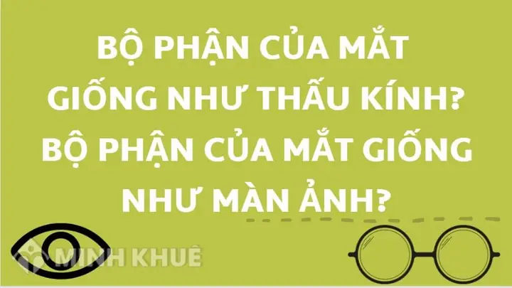 Bộ Phận Của Mắt Giống Như Thấu Kính Gì