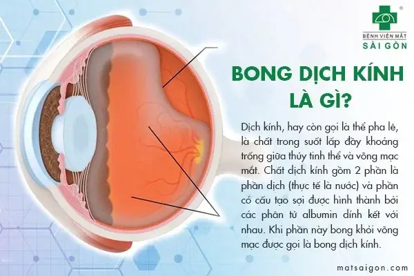 Bong Dịch Kính Mắt Dịch Sang Tiếng Anh