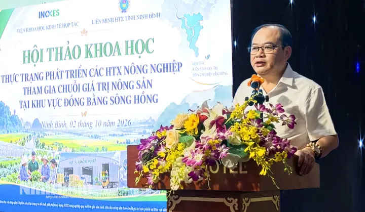 Các Chuỗi Kính Mắt Các Chuỗi Kính Mắt