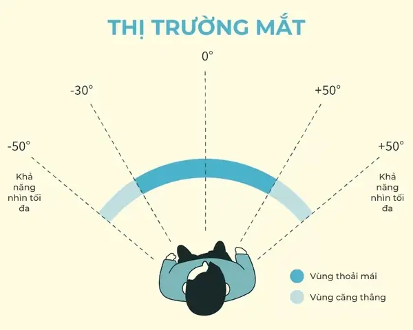 Các Loại Mắt Kính Nam Trên Thị Trường Các Loại Mắt Kính Nam Trên Thị Trường