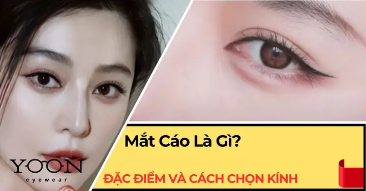 Cách Chon Mắt Kính Đẹp