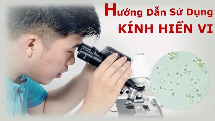 Cách Sử Dụng Kính Hiển Vi 1 Mắt Cách Sử Dụng Kính Hiển Vi 1 Mắt