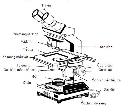 Cách Sử Dụng Kính Hiển Vi 1 Mắt Cách Sử Dụng Kính Hiển Vi 1 Mắt