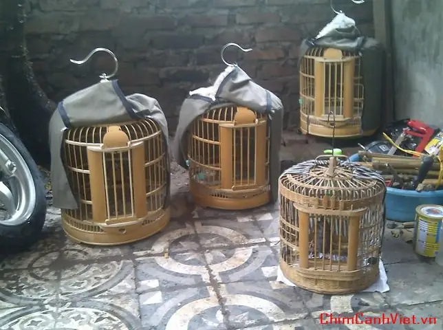 Cáchmuua Mắt Kính Độ Tốt Cáchmuua Mắt Kính Độ Tốt