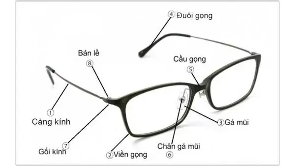 Cấu Tạo Chiếc Kính Mắt Cấu Tạo Chiếc Kính Mắt