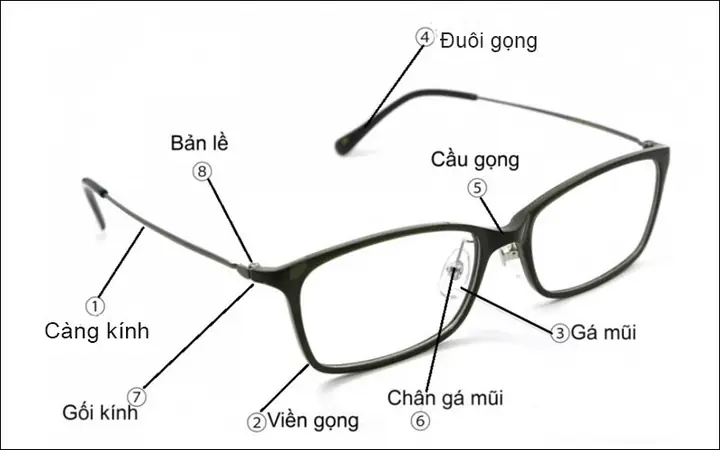 Cấu Tạo Chiếc Kính Mắt Cấu Tạo Chiếc Kính Mắt
