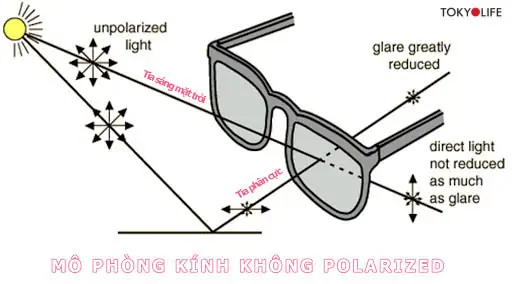 Cấu Táo Kính Đeo Mắt