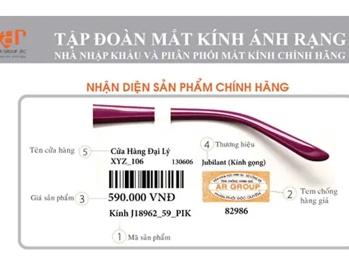 Công Ty Cp Mắt Kính Ánh Rạng Công Ty Cp Mắt Kính Ánh Rạng
