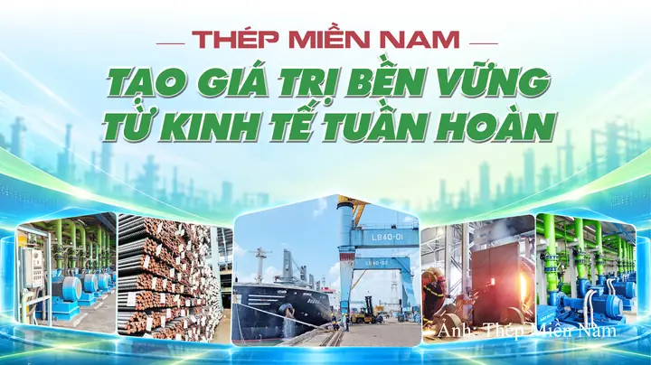 Công Ty Tnhh Mắt Kính Việt Nam Miền Nam
