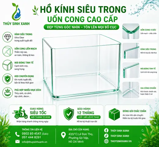 Cửa Hàng Mắt Kính Giá Rẻ Tphcm Tinhte