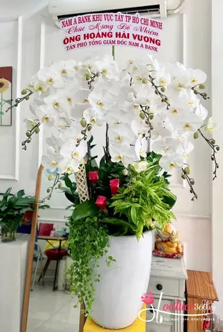 Cửa Hàng Mắt Kính Hoàng Hải Hồ Chí Minh