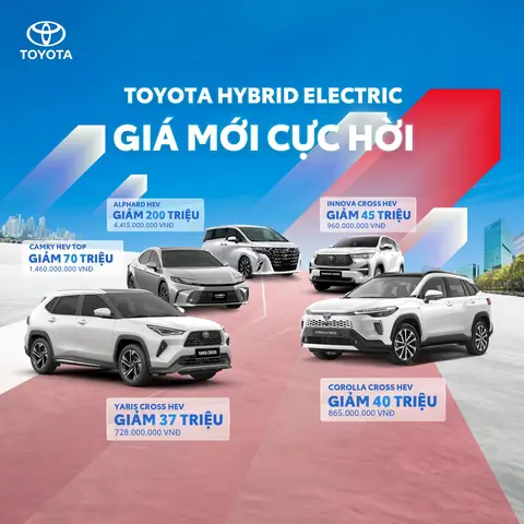 Dánh Giá Hiệu Quả Sử Dụng Mắt Kính Cho Gà