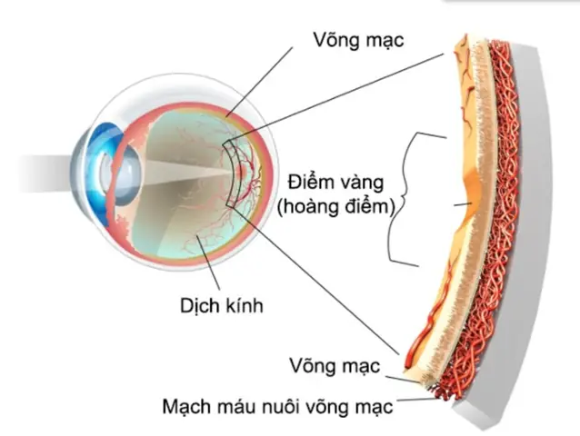 Dịch Kính Mắt