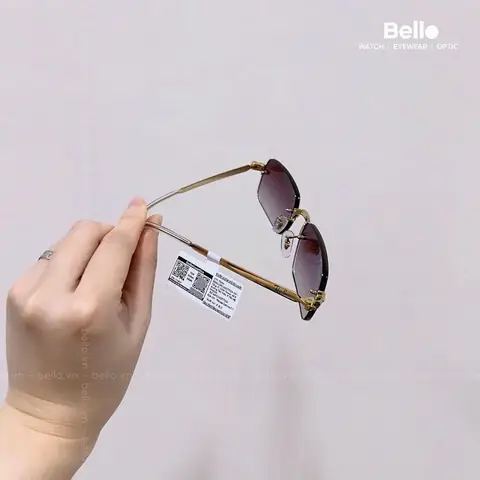 Giá Bán Kính Mắt Bee Berty