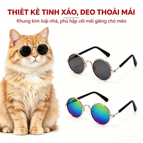 Hình Ảnh Mắt Kính Mèo