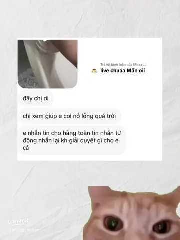 Intitle Mắt Kính Pleiku Intitle Mắt Kính Pleiku