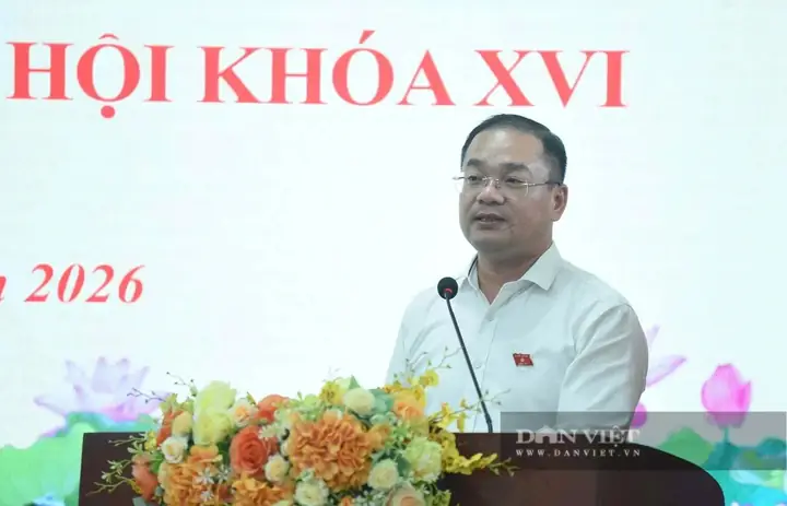 Khoa Kính Mắt Tiếp Xúc