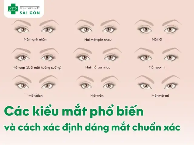 Kính Cho Người Mắt Gần Nhau Kính Cho Người Mắt Gần Nhau