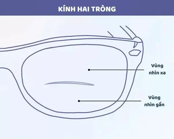 Kính Cho Người Mắt Gần Nhau Kính Cho Người Mắt Gần Nhau