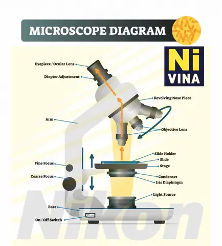 Kính Hiển Vi 1 Mắt Nikon Ys100