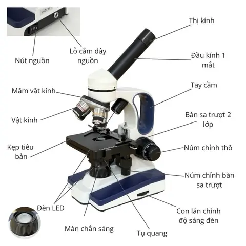 Kính Hiển Vi 1 Mắt Xsp Đánh Giá
