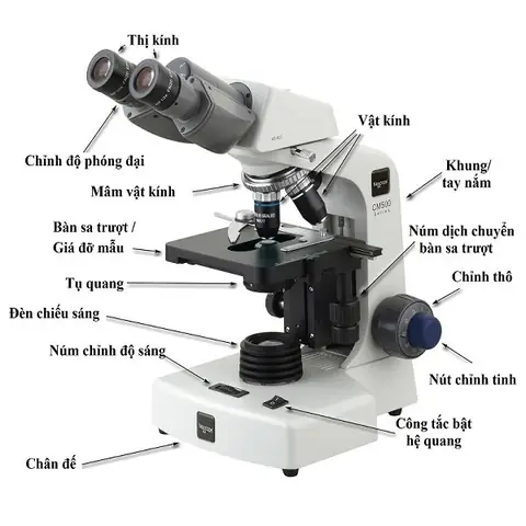 Kính Hiển Vi 2 Mắt Loại Thông Thường