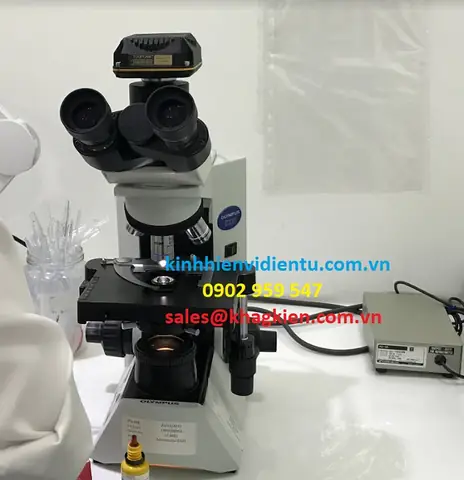 Kính Hiển Vi 4 Mắt Olympus
