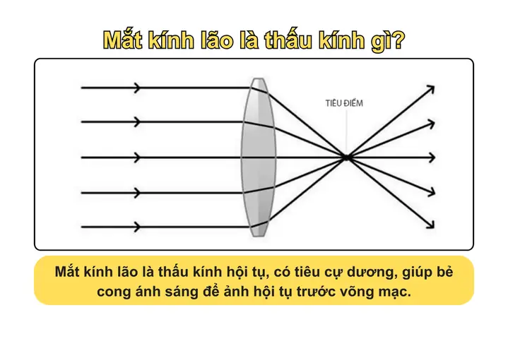 Kính Lão 1 Mắt