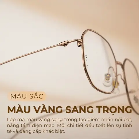 Kính Mắt Aopoess 2 Lớp