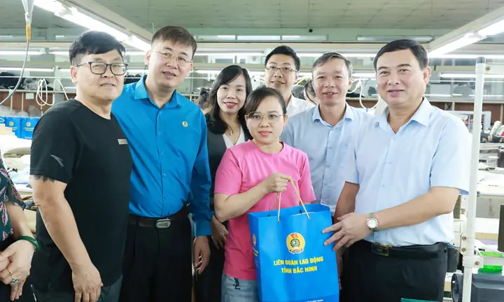 Kính Mắt Bắc Hải Kính Mắt Bắc Hải