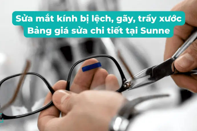 Kính Mắt Bi Chi