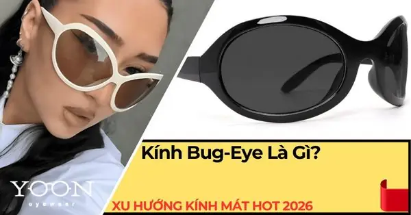 Kính Mắt Bị Rêu