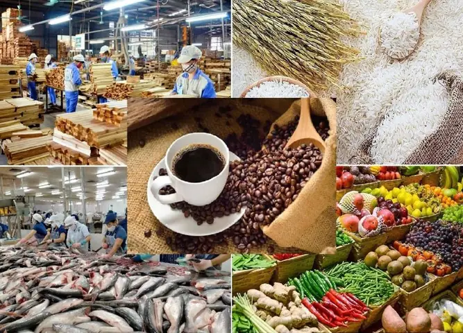 Kính Mắt Cho Bé Xk