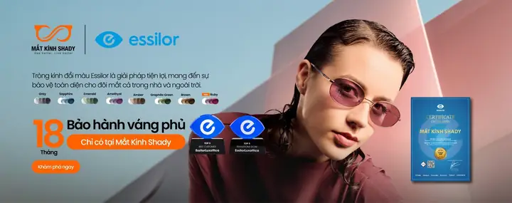 Kính Mắt Essilor Transition Giá Bao Nhiêu Kính Mắt Essilor Transition Giá Bao Nhiêu