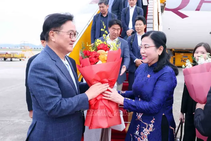 Kính Mắt Hàn Quốc Hà Nội