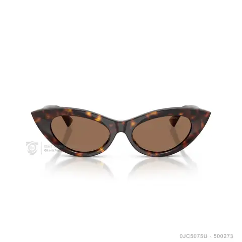 Kính Mắt Hieu Jimmy Choo Kính Mắt Hieu Jimmy Choo