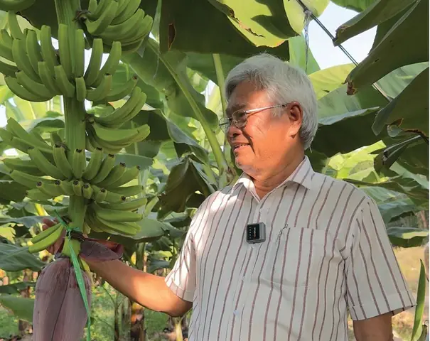 Kính Mắt Mễ Trì