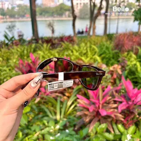 Kính Mắt Nam Rayban Chính Hãng Giá