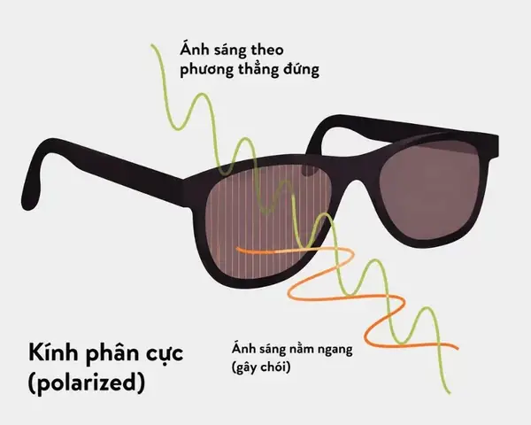 Kính Mắt Phân Cực Nghĩa Là Gì