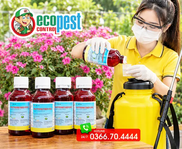 Kính Mắt Ruồi Fake