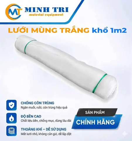 Kính Mắt Ruồi Giá Rẻ Kính Mắt Ruồi Giá Rẻ