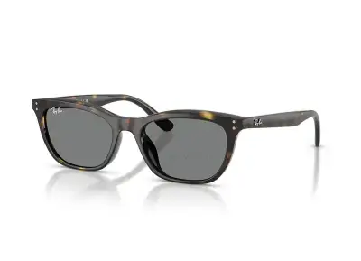 Kính Mắt Ruồi Rayban