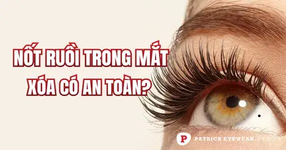 Kính Mắt Ruồi Rayban