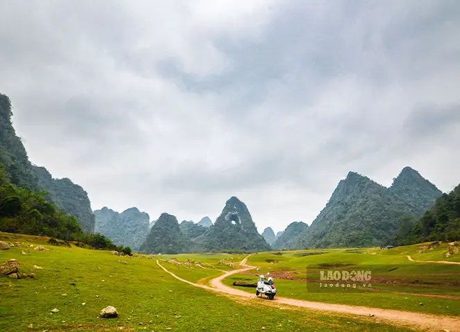 Kính Mắt Thần Mua Ở Đâu Kính Mắt Thần Mua Ở Đâu