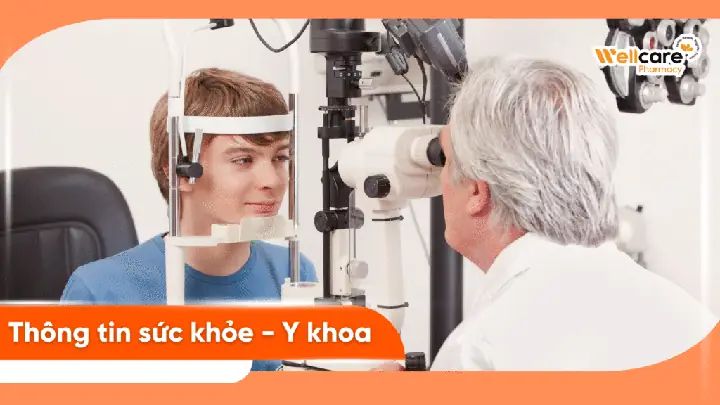Mắt Cận Bao Nhiêu Thì Phải Đeo Kính