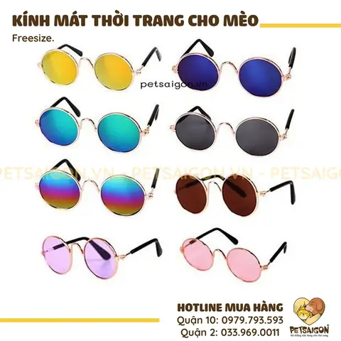 Mắt Kính Cho Mèo