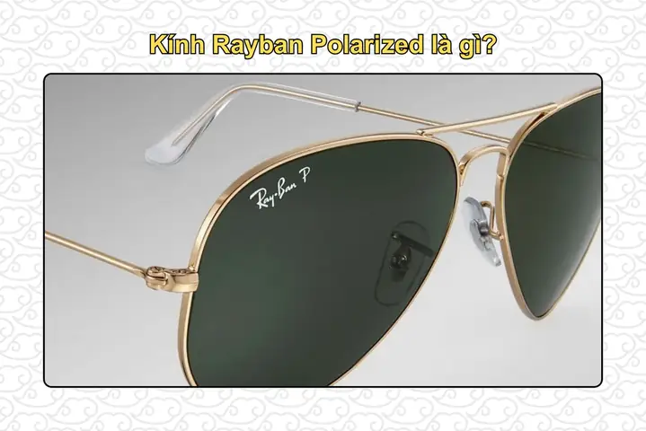 Mắt Kính Polarized Giá Bảo Nhiều